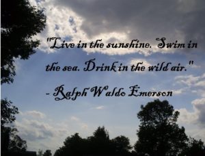 Picture of a blue sky with white and gray clouds, showing the tops of some trees. Inspirational quote "Live in the sunshine. Swim in the sea. Drink in the wild air." - Ralph Waldo Emerson